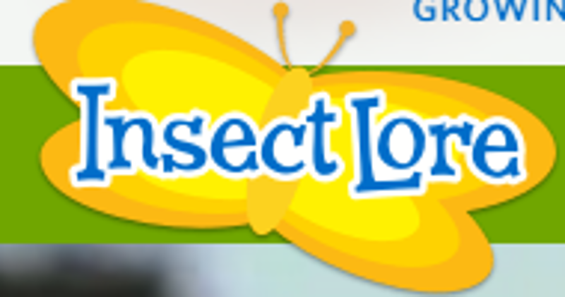 Best Sellers From Only $24.95 At Insect Lore
