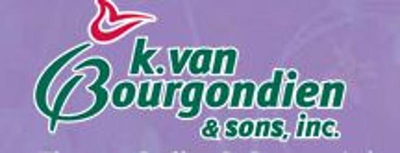Dutch Bulbs Coupons & Promo Codes